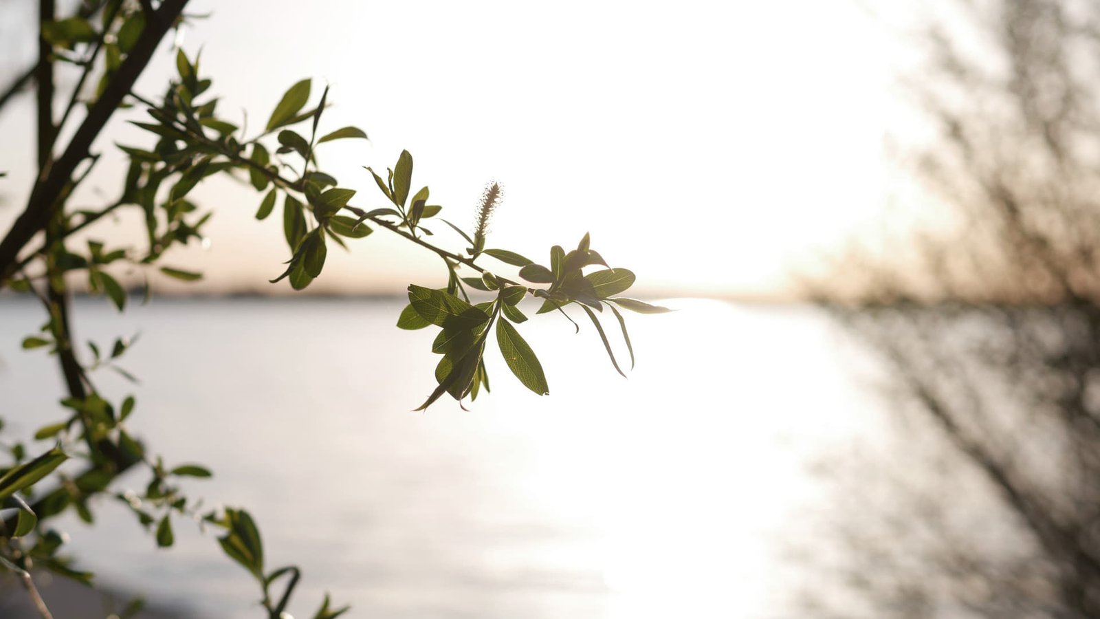 El arte de encontrar la calma sin dejar la ciudad